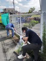 雑草と格闘中２